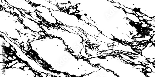 Generate a high-resolution, realistic image of a white marble slab with intricate black veining. Focus on capturing the natural flow and organic patterns of the veins.