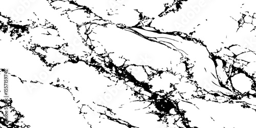 Generate a high-resolution, realistic image of a white marble slab with intricate black veining. Focus on capturing the natural flow and organic patterns of the veins.