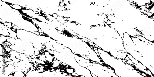 Generate a high-resolution, realistic image of a white marble slab with intricate black veining. Focus on capturing the natural flow and organic patterns of the veins.