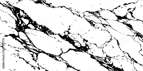 Generate a high-resolution, realistic image of a white marble slab with intricate black veining. Focus on capturing the natural flow and organic patterns of the veins.