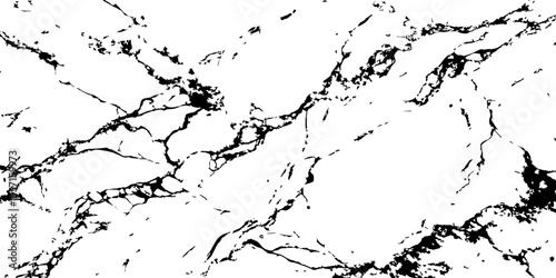 Generate a high-resolution, realistic image of a white marble slab with intricate black veining. Focus on capturing the natural flow and organic patterns of the veins.