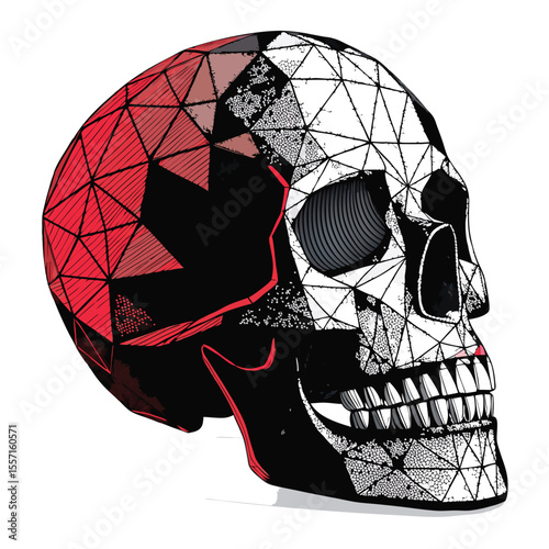 A digital rendering of a human skull, intricately constructed from interconnected geometric lines and vertices.