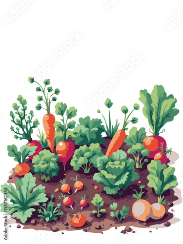 Vegetables – Garden Harvest