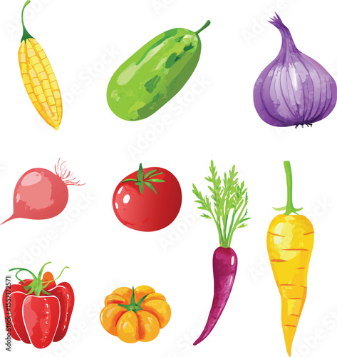  water color illustration collection of vegetables