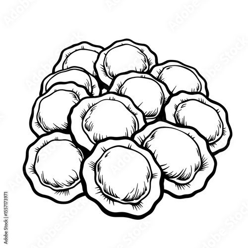 Line Art of Russian Pelmeni Dumplings – Culinary Precision and Detail