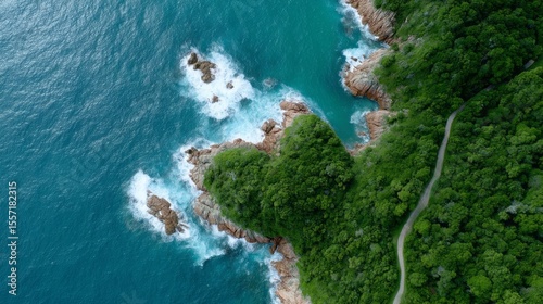 Coastal heart-shaped foliage whispers tropical secrets, evoking Earth Day reflections and poetic coastal wanderlust, vibrant and concealed