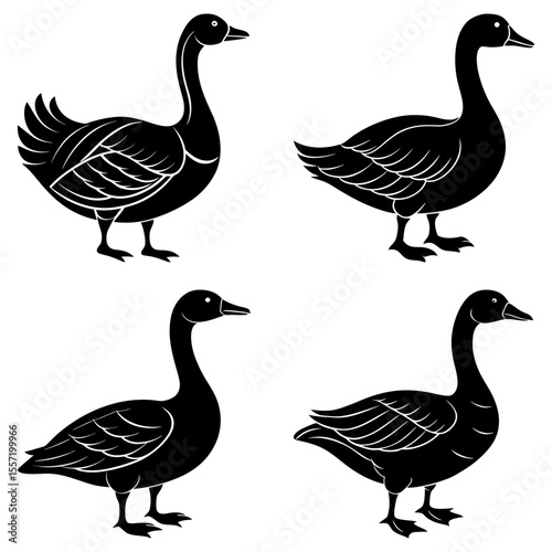 Four stylized black geese standing in different poses with white accents on a white background art