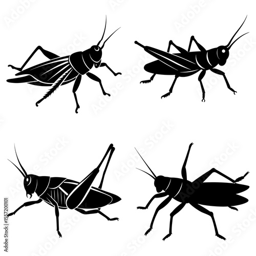 Four grasshoppers in black silhouette with detailed legs and antennae on a white background illustration