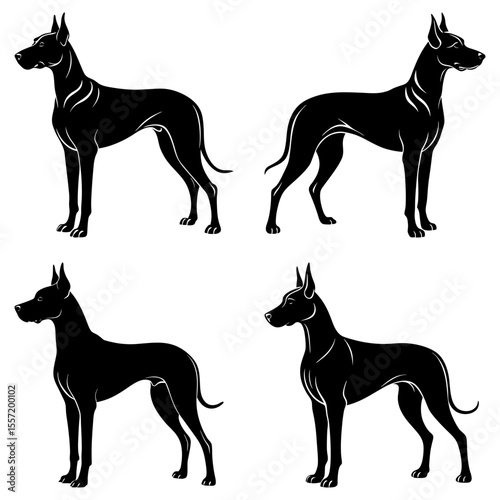Four silhouette images of a great dane dog standing in different poses on a white background design art