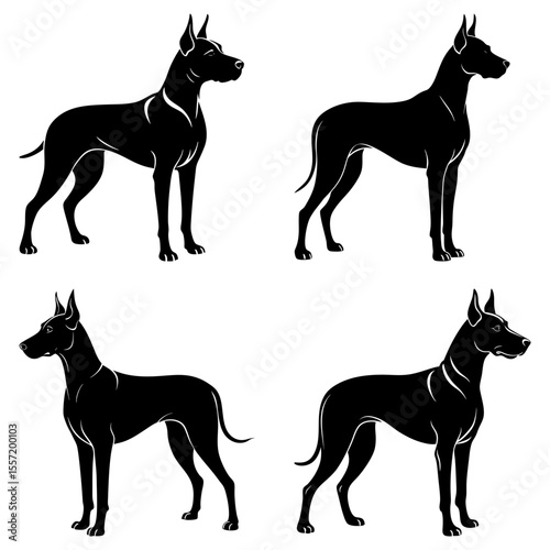 Four black great dane dogs standing in different poses with white outline on a white background design
