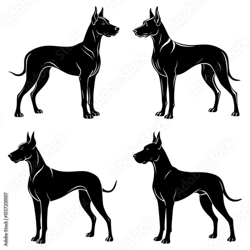Four black great danes standing in different poses with detailed outlines on a white background