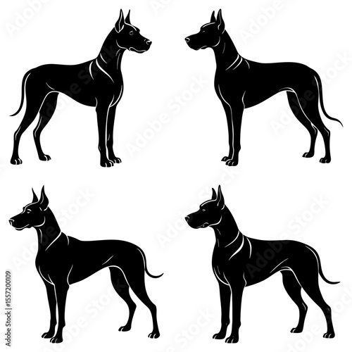 Four black silhouette illustrations of great dane dogs standing in various positions on a white background