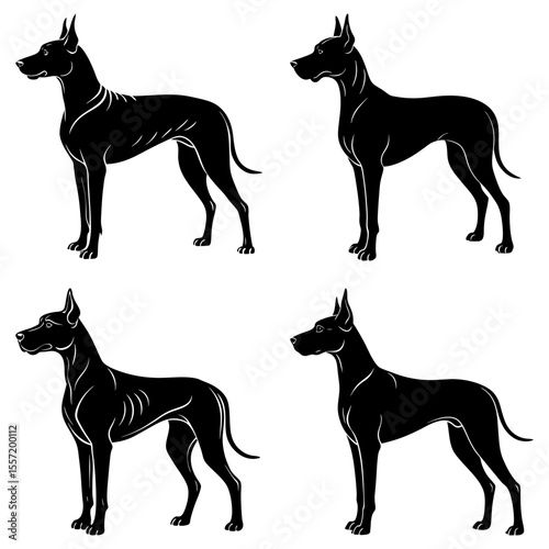 Four black silhouette depictions of great dane dogs standing in various poses on a white background