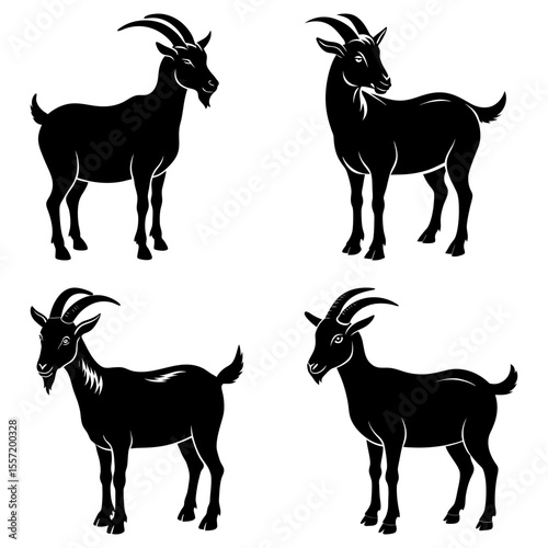 Four black goats with horns standing in different poses isolated on a white background vector illustration