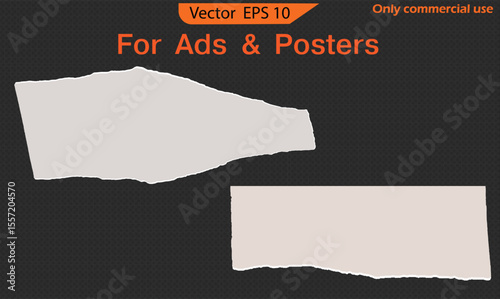 Torn paper with space. Torn paper background. Torn note paper page. Ripped note notebook grainy paper strips stuck. EPS 10	
