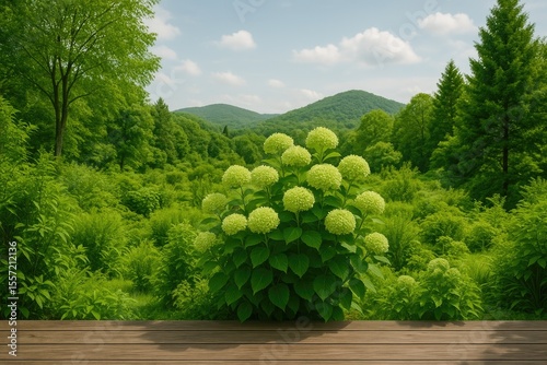The calming effect of greenery and floral hues on mental well-being and eye relaxation