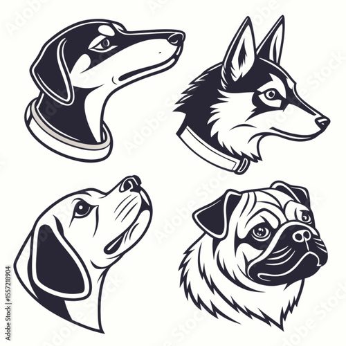 Vector animal illustration of a dog, wolf, and husky head design