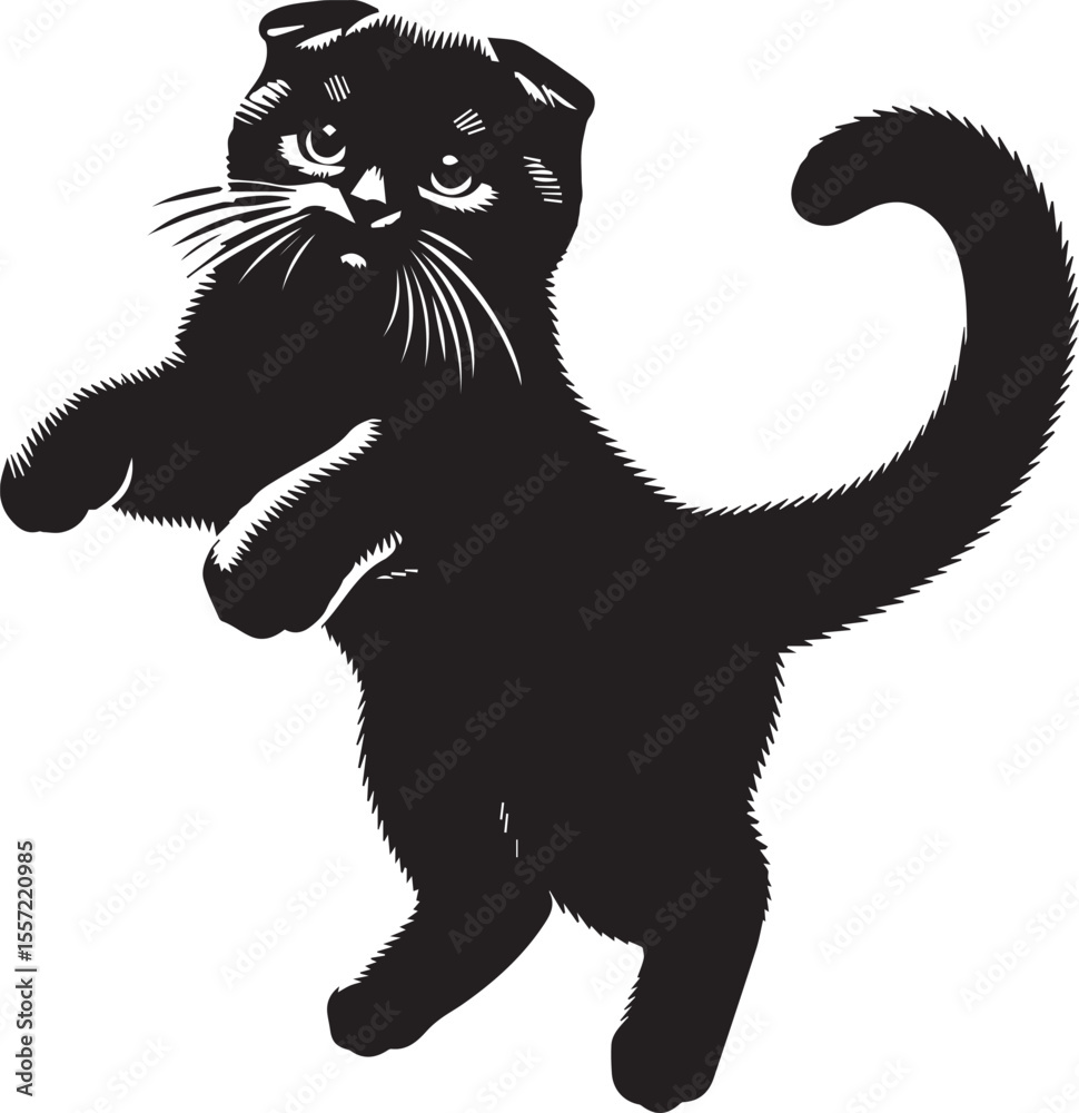 Obraz premium Scottish Fold Cat Vector in black and white