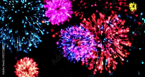 Firework explosions a computer designed as a seamless loop with a black background