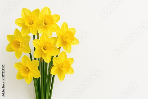 Wallpaper Mural Stunning Springtime Blossoms in Bright Yellow: Cosmic Art Scene Torontodigital.ca