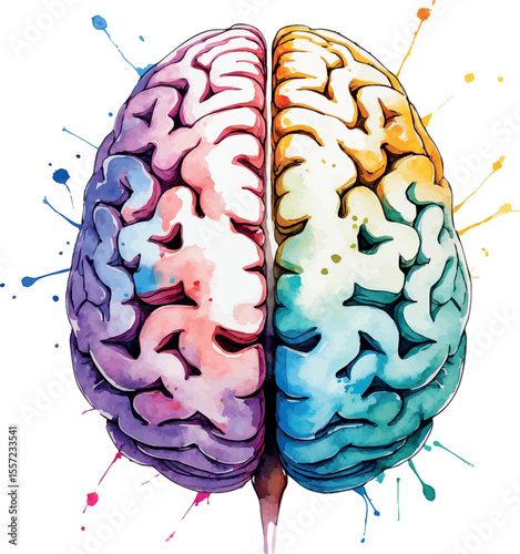 Human brain cross-section watercolor illustration. Neurological artwork with scientific regions in pastel colors and artistic neural connections.