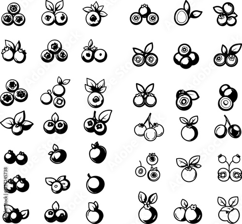 blackberry icons fruit healthy food fresh blackberry design berry agriculture blackberry bush seasonal fruit blackberry harvest farm produce farm-to-table blackberry symbol edible org