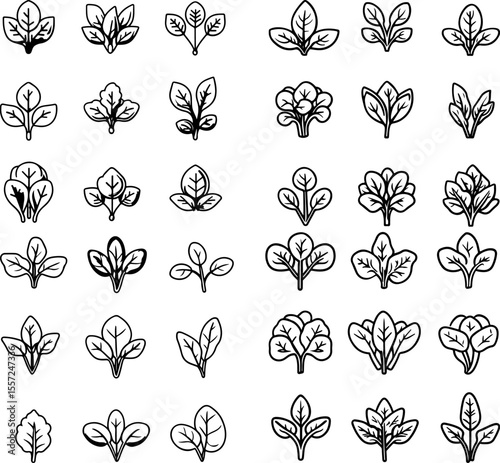 kale icons vegetable healthy food farm agriculture farming garden fresh produce kale design leafy greens organic kale plant seasonal vegetable kale symbol farm produce farming tools p
