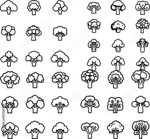 cauliflower icons vegetable healthy food farm agriculture farming garden fresh produce cauliflower design white vegetable organic cauliflower plant seasonal vegetable cauliflower symb
