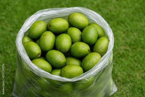 Freshly picked green ambarella fruits inside a plastic bag