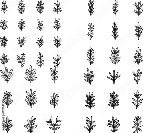 thyme icons herb fresh food healthy garden gardening organic thyme design thyme plant culinary herb aromatic medicinal plant thyme symbol plant-based herb garden thyme growth edible t