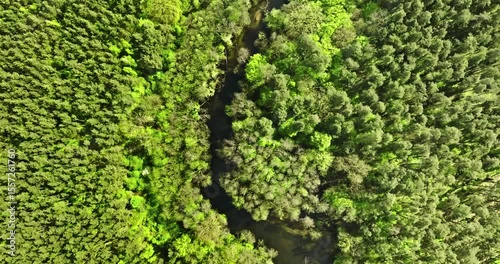 Top down view of swamps and river at spring.