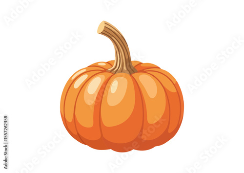 Mini pumpkin with rounded shape and stylized stem 