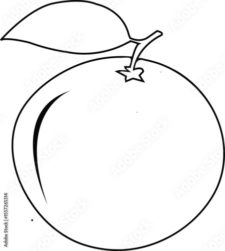 Orange Line Art Illustration