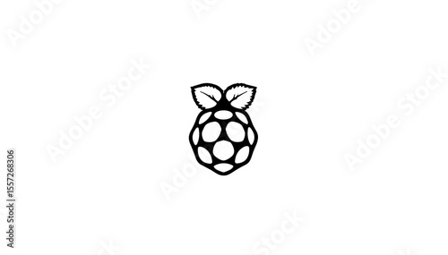 Blackberry, raspberry, and cloudberry, black and white vector illustration, minimalistic design