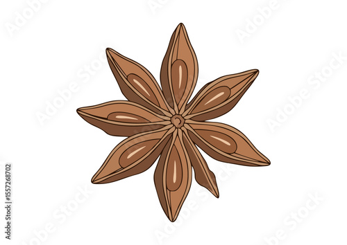 Star anise pod with clean lines 