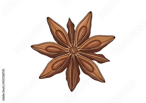 Anise pod with clean lines and natural brown color