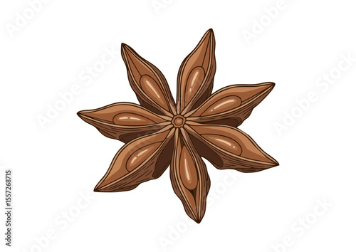 Star anise pod with clean lines and natural brown color 