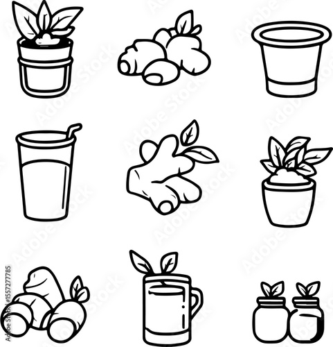 ginger spice root food icon fresh ginger ginger root food design food art aromatic food styling food presentation ginger paste ginger powder spicy hot food culture ginger tea gingerbr