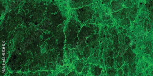 Abstract green cracked texture with subtle dark tones suitable for backgrounds digital art designs and creative projects offering visual depth