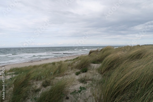 Wallpaper Mural Oberhalb des Strandes von Dierhagen auf dem Fischland wächst Strandhafer. Weiter unten branden die Wellen der Ostsee an den Strand. Torontodigital.ca