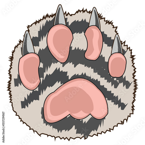 Paw animal on white background is insulated