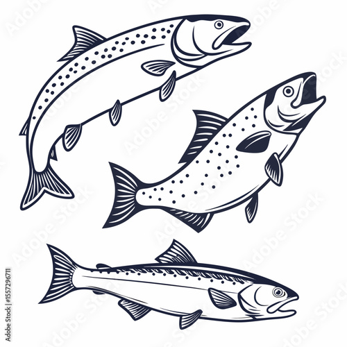 Three salmon fish swimming seafood aquatic