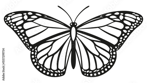 Butterfly silhouette with intricate wing details