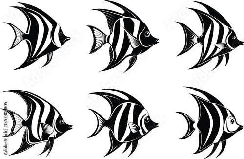 Angelfish silhouette set, fish icon, sea life graphic, marine vector, ocean animal illustration