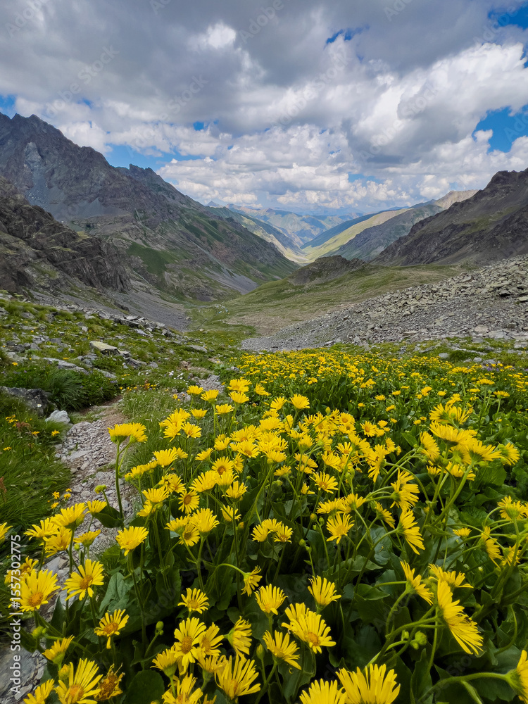 Fototapeta premium The most famous high mountain plateau in the Black Sea region, Kaçkar Mountain, Rize, Turkey