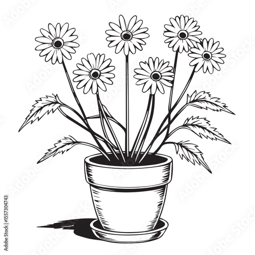 Black and white line drawing of a potted plant with multiple daisy flowers and serrated leaves casting a shadow on a white background
