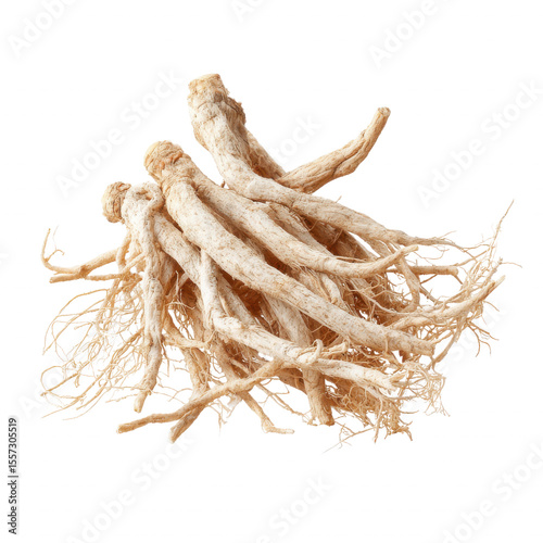 marshmallow root png, soft medicinal herb