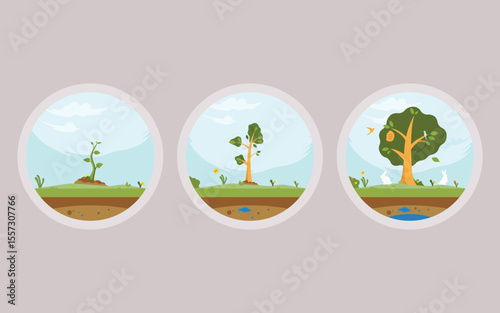 A flat vector illustration showing three stages of plant growth, from a sprouting seedling to a young tree and finally a mature tree, emphasizing the life cycle of a plant in a natural environment