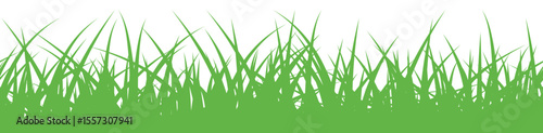 grass pattern spring greenery seamless botanical border isolated white background