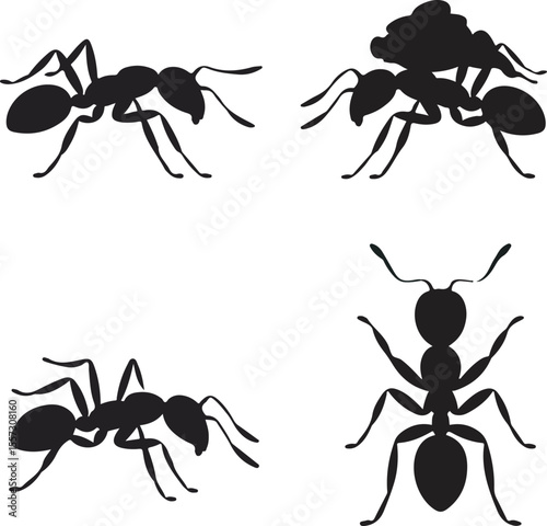 Four Black Ant Silhouettes Different Poses Insect Vector Graphic White Background ants
